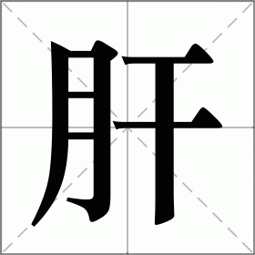 肝