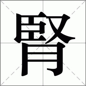 腎