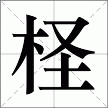 柽