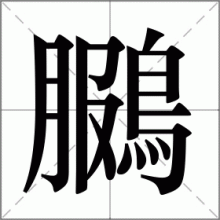 鵩