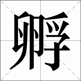 孵