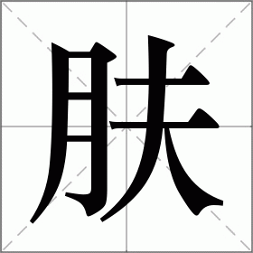 肤