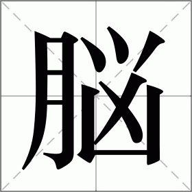 脳