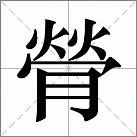 膋
