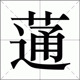 蓪