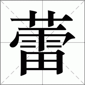 蕾