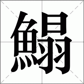 鰨