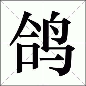 鸽