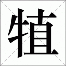 犆