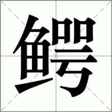 鳄